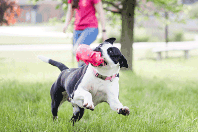 Donation of Supplies